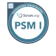 Professional Scrum Master I Badge