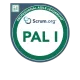 Professional Agile Leader I Badge